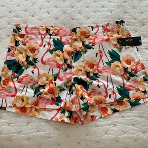 Nicole Miller shorts. New. Size 12.